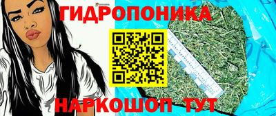 гашик Ликино-Дулёво