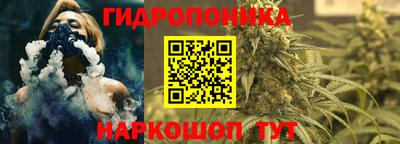 гашик Ликино-Дулёво
