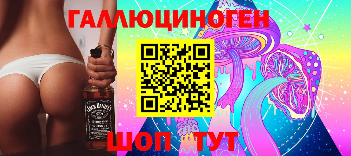 Донской  Псилоцибиновые грибы мицелий  Вход с VPN 