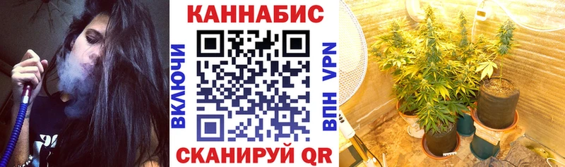ссылка на мегу онион Донской Каннабис индика