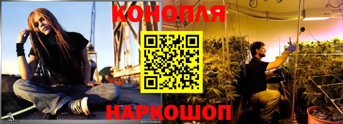 Шишки марихуана White Widow Донской